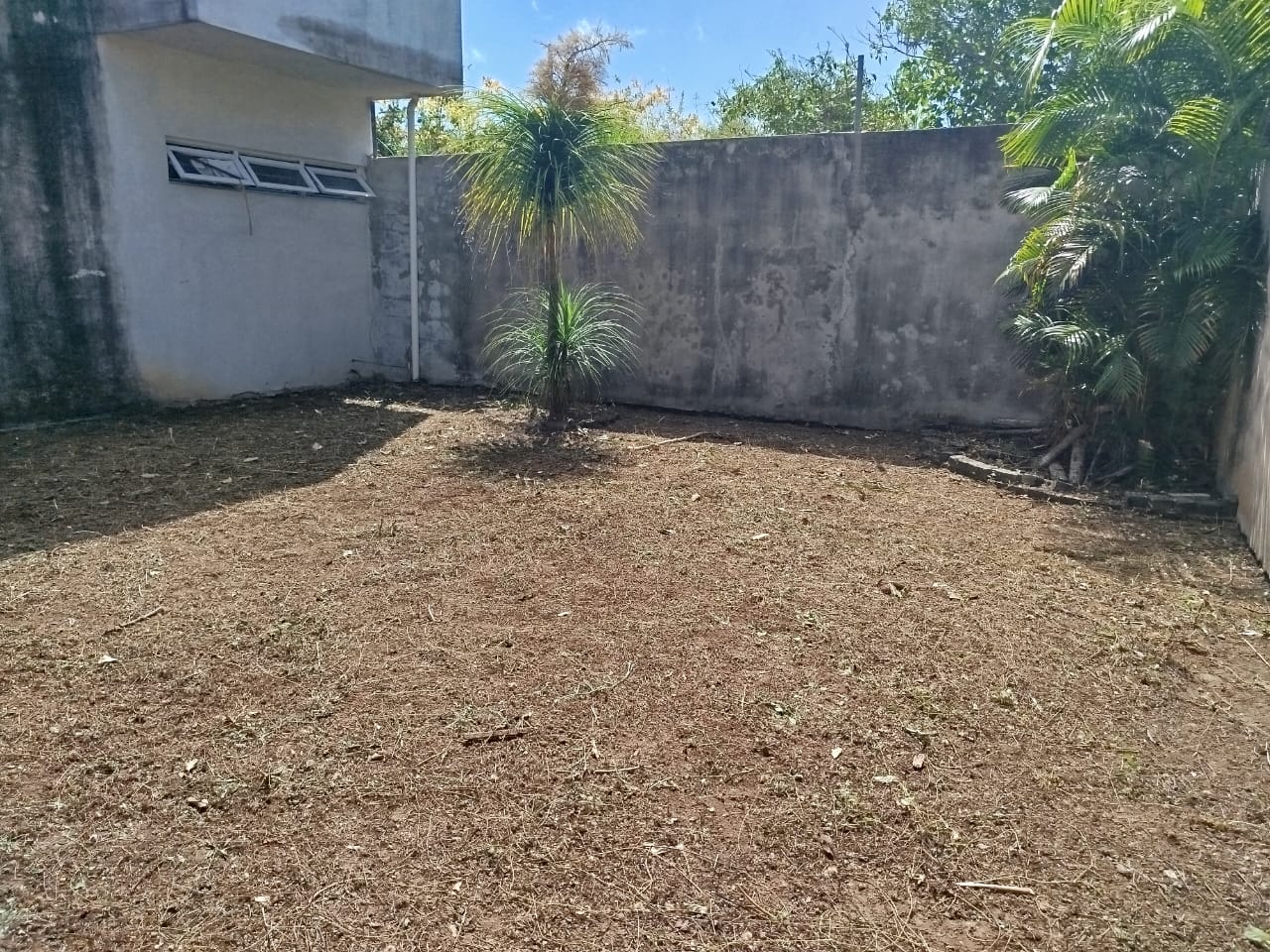 casa8